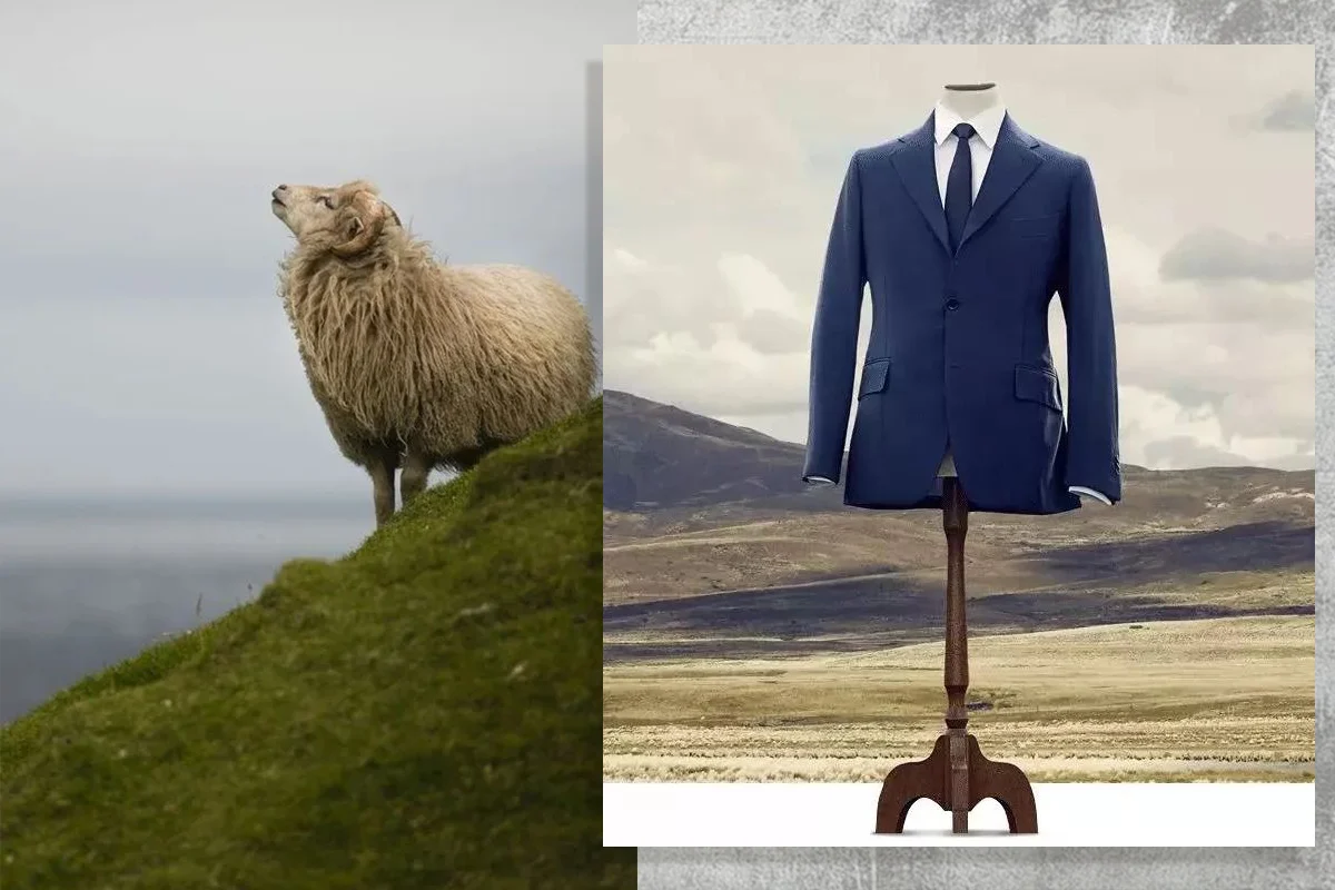 Dormeuil西裝與山羊