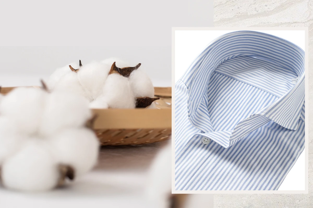 棉花與針織襯衫