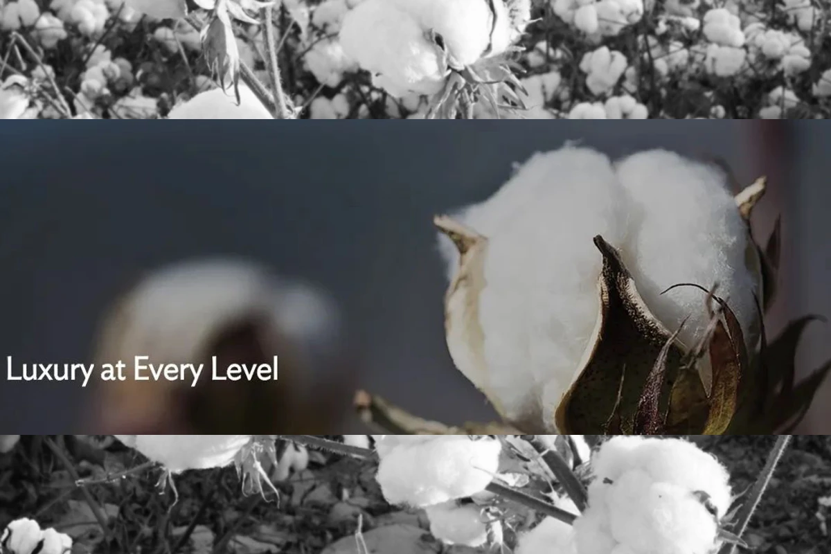 SÖKTAŞ引進的高級棉花