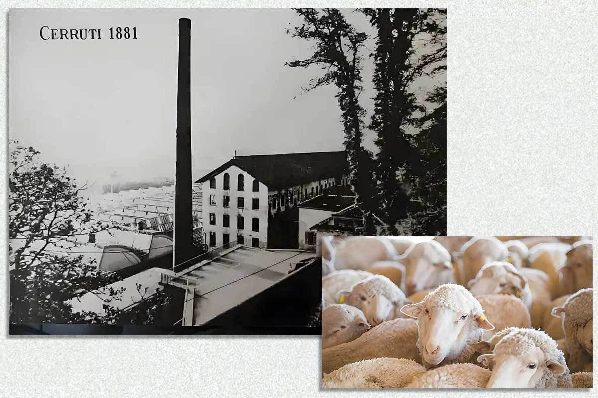 CERRUTI 1881工廠圖及羊群