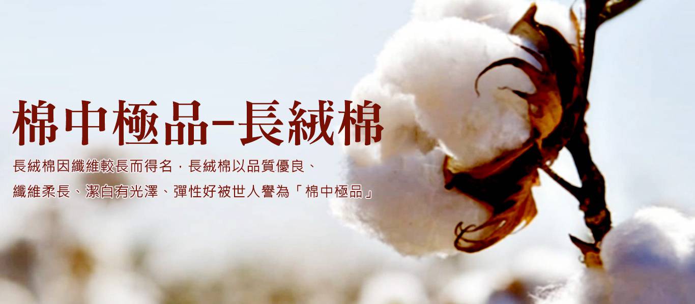 棉中極品長絨棉