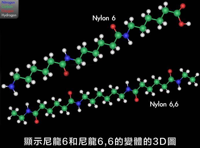 尼龍的變體3D圖
