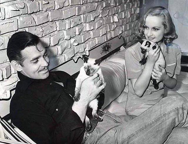 逗弄小動物的紳士