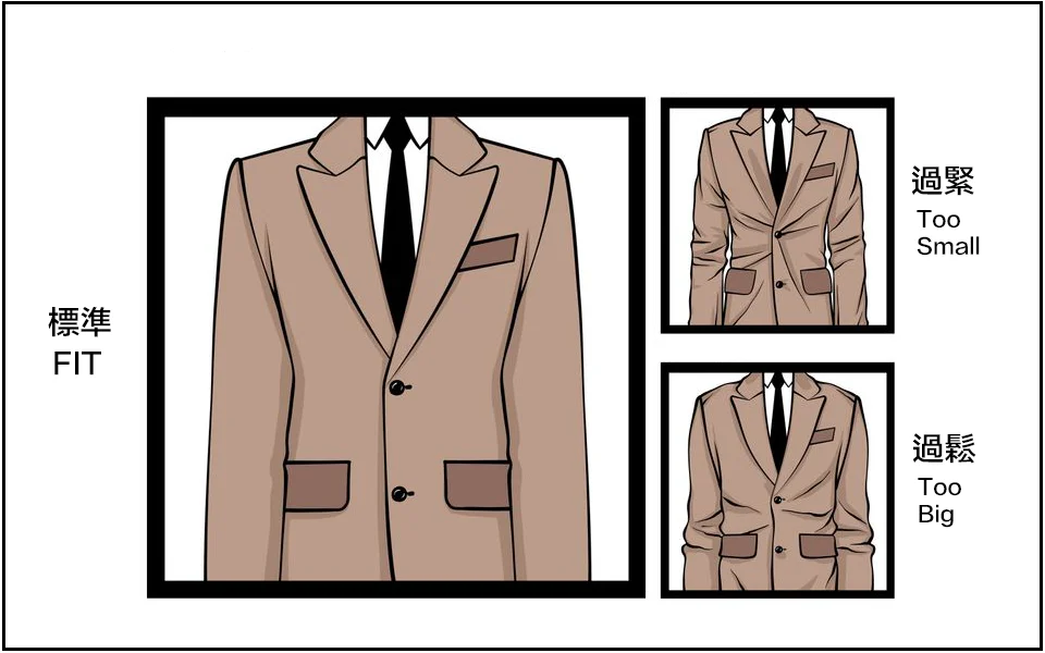 標準的合身西裝的胸線與腰線示意圖