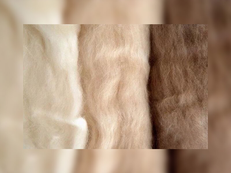 羊絨含量的多少決定保暖性的重要因素